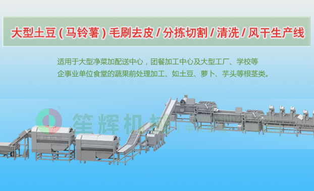 兴平连续式土豆去皮清洗切割风干生产线